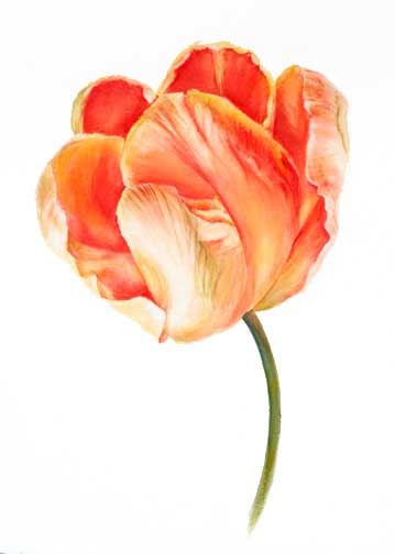 F002