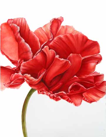 F003